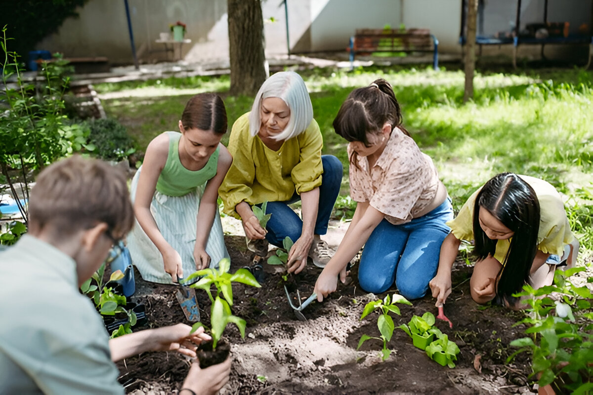 Building a Sustainable Garden: Organic Practices for Healthy Growth
