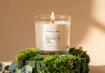 The Radiant Remedy