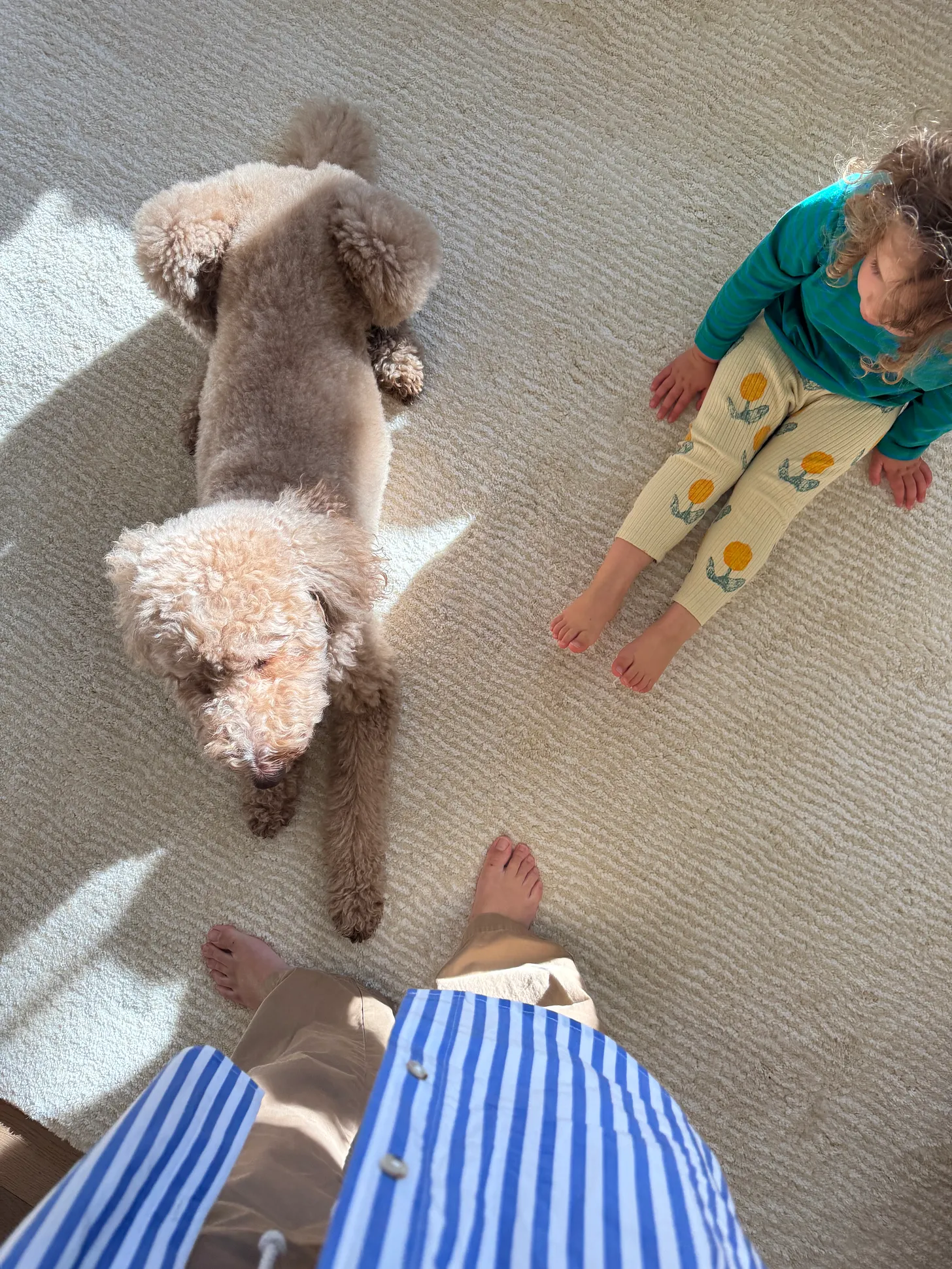 Organic Weave Rugs
