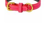 Hughies Dog Accessories