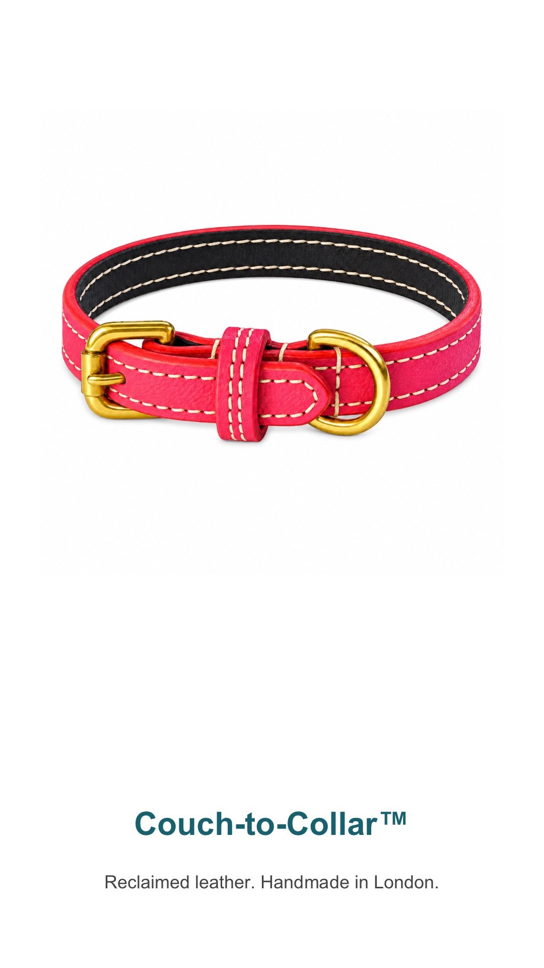 Hughies Dog Accessories