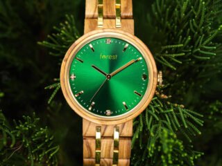 the-forest-watches-ivy