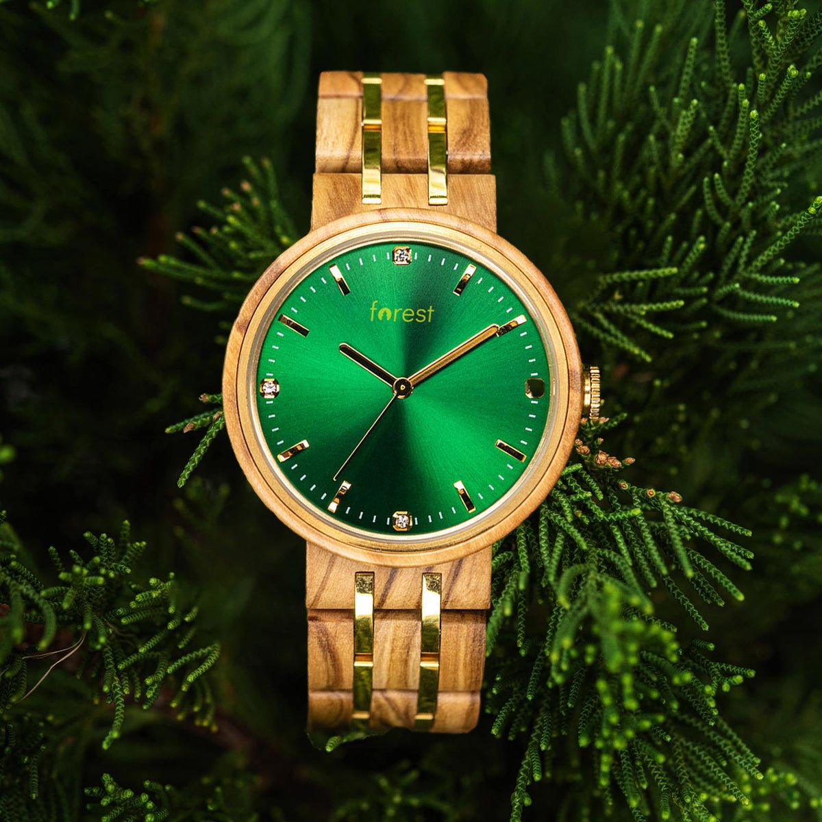 The Forest Watches