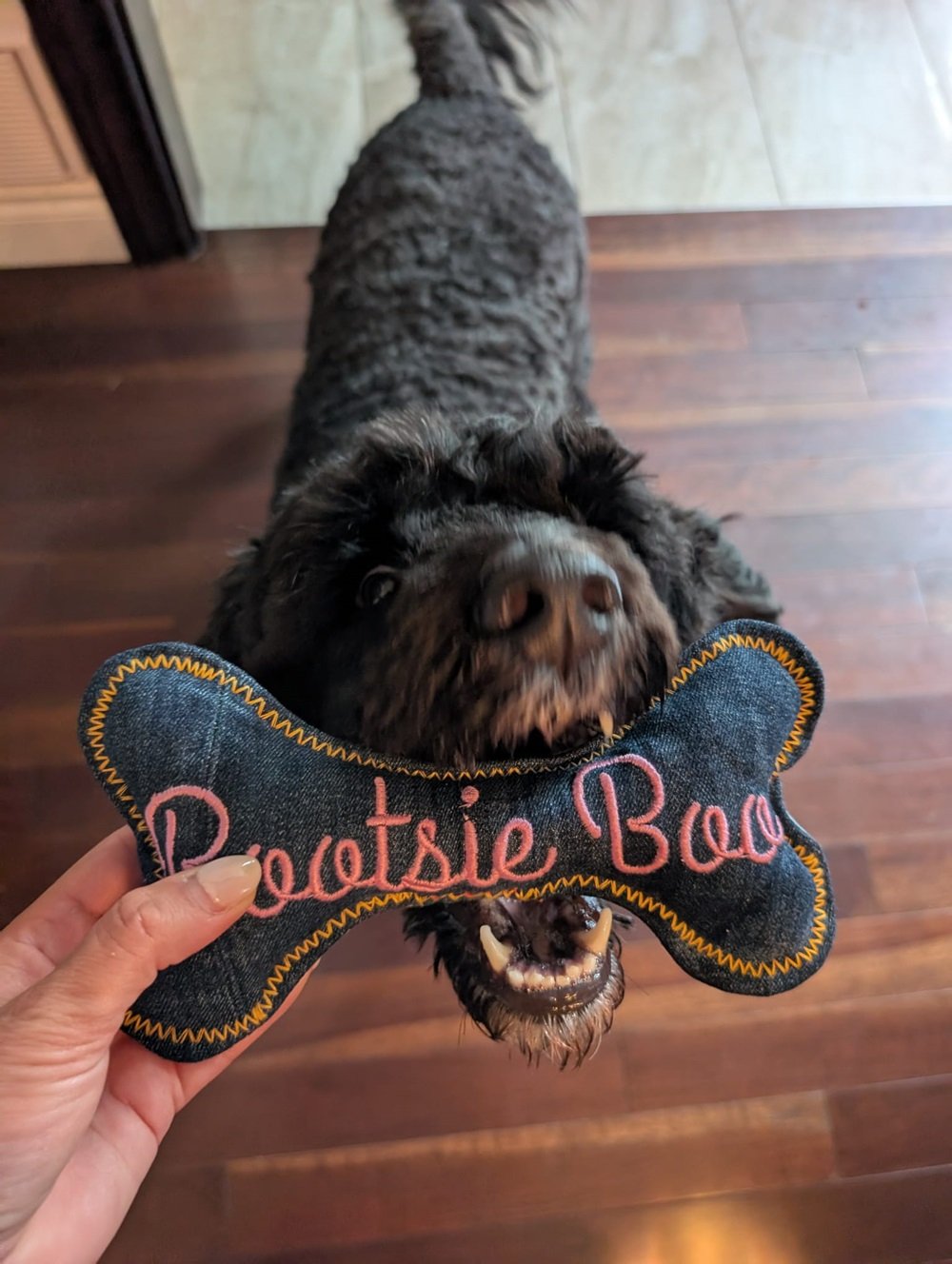 Hughies Dog Accessories