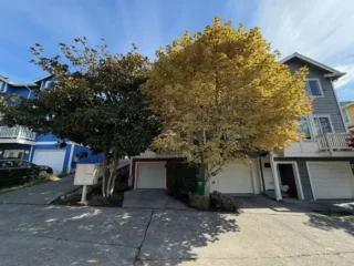 yellow-fall-tree-townhouses